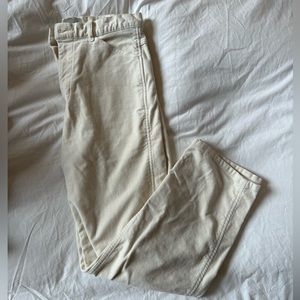 Everlane straight leg moleskin way high pants in cream